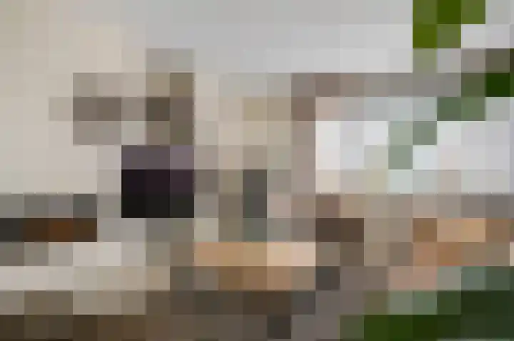 Parklaan 75 Horst thumbnail 20