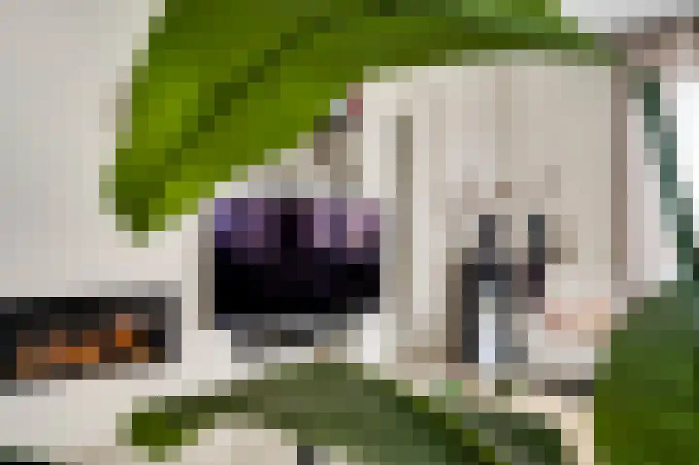 Parklaan 75 Horst thumbnail 21