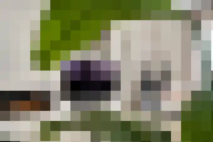 Parklaan 75 Horst thumbnail 21