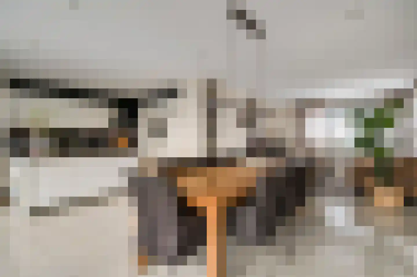 Parklaan 75 Horst thumbnail 24