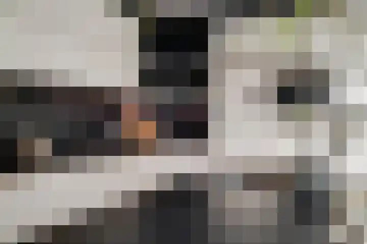 Parklaan 75 Horst thumbnail 28