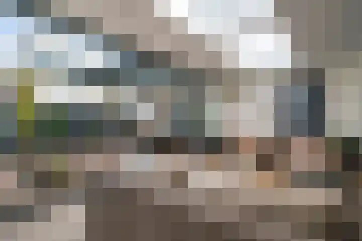 Parklaan 75 Horst thumbnail 33