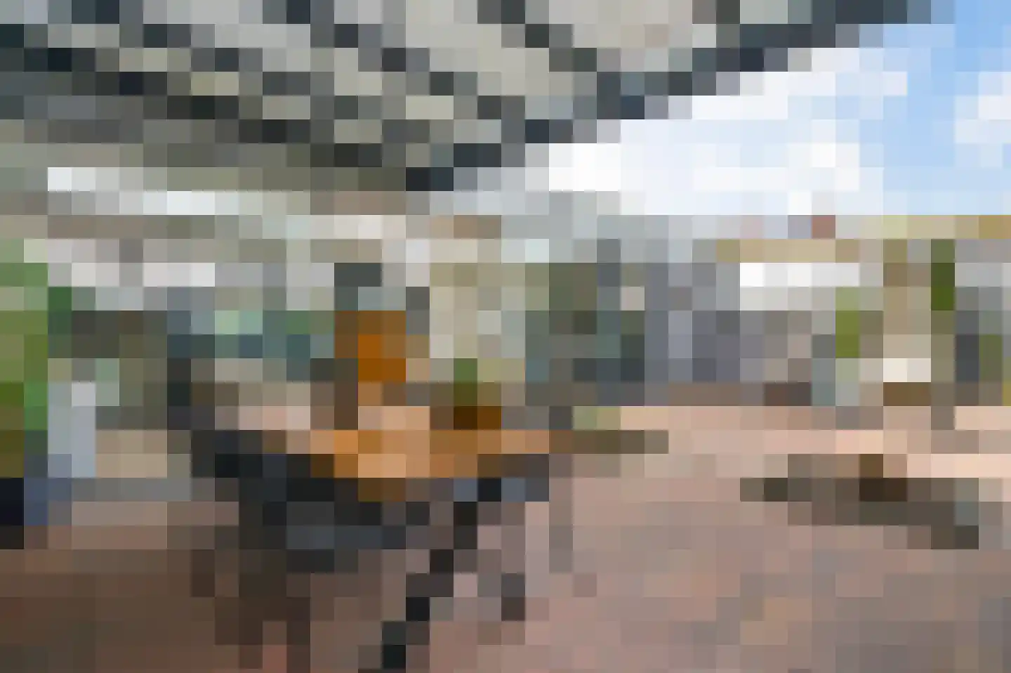 Parklaan 75 Horst thumbnail 4