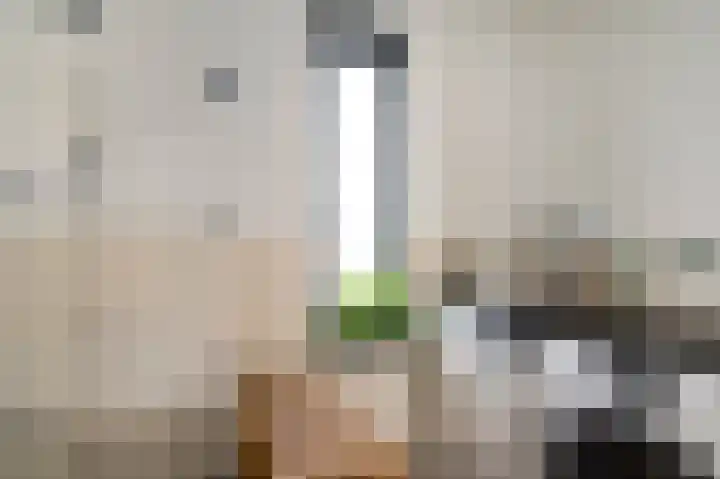Parklaan 75 Horst thumbnail 49