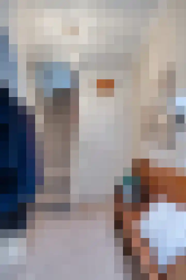 Parklaan 8 Kapelle thumbnail 17