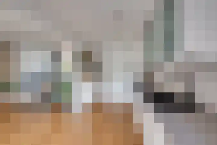 Parklaan 8 Prinsenbeek thumbnail 15