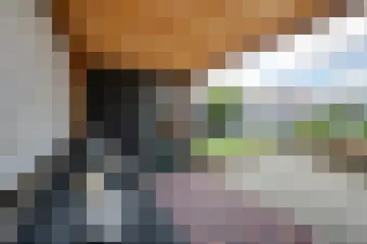 Parklaan 8 Prinsenbeek thumbnail 34