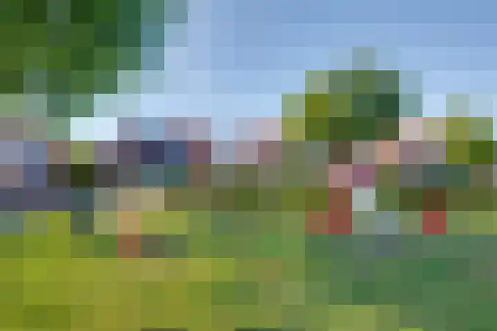 Parklaan 8 Prinsenbeek thumbnail 36