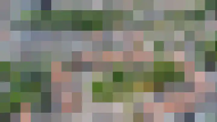 Parklaan 8 Prinsenbeek thumbnail 37