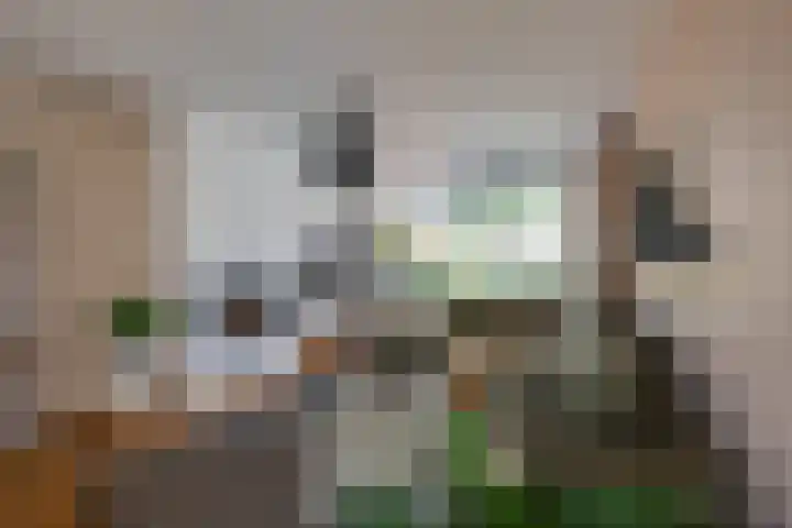 Parklaan 8 Prinsenbeek thumbnail 9
