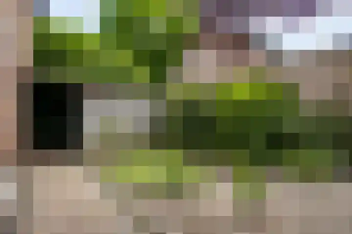 Parklaan 8 Weert thumbnail 37