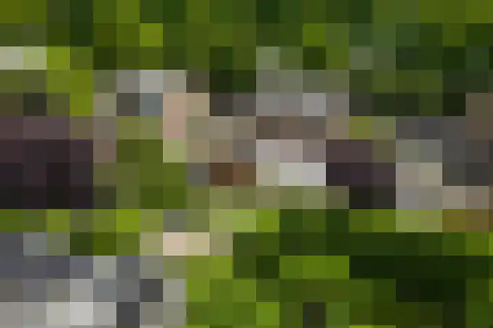 Parklaan 8 Weert thumbnail 38
