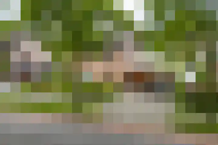 Parklaan 8 Weert thumbnail 39