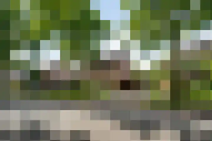 Parklaan 8 Weert thumbnail 42