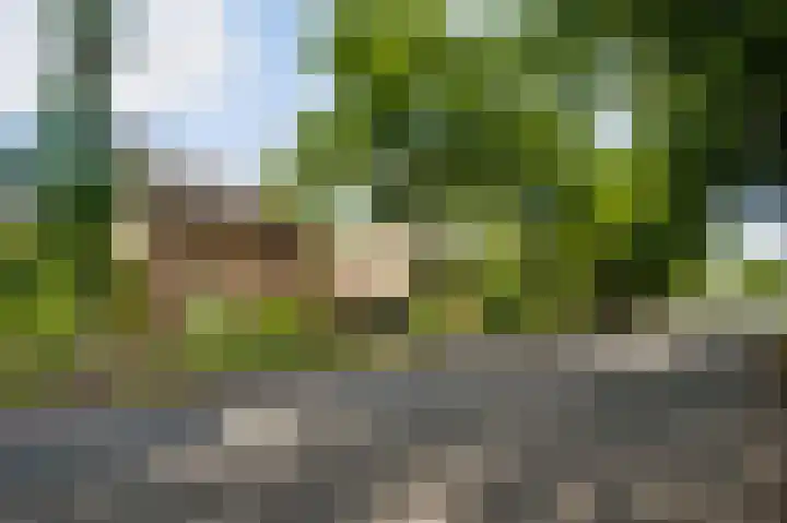 Parklaan 8 Weert thumbnail 44