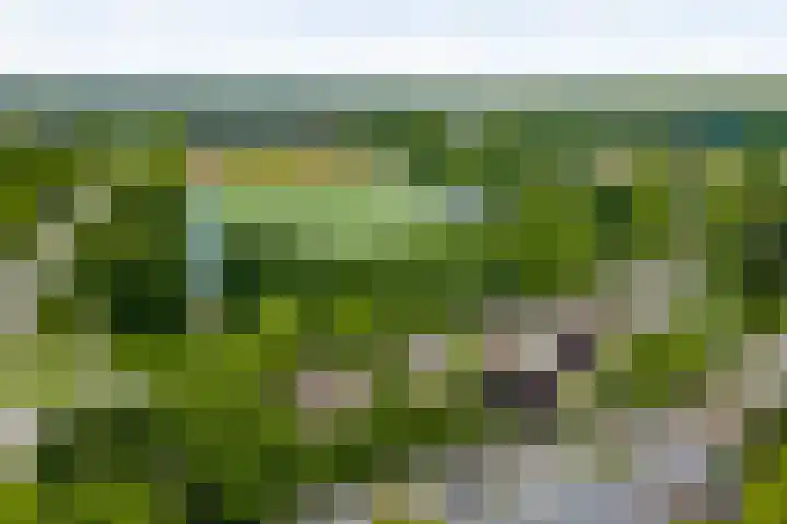 Parklaan 8 Weert thumbnail 46