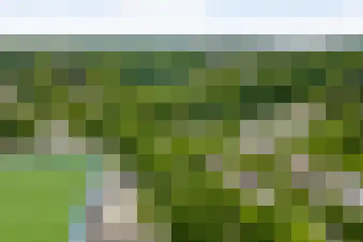 Parklaan 8 Weert thumbnail 47