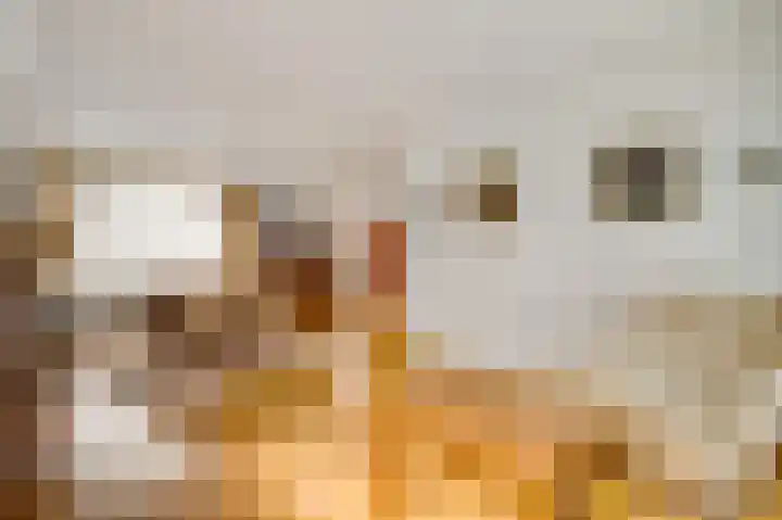 Parklaan 8 Weert thumbnail 9