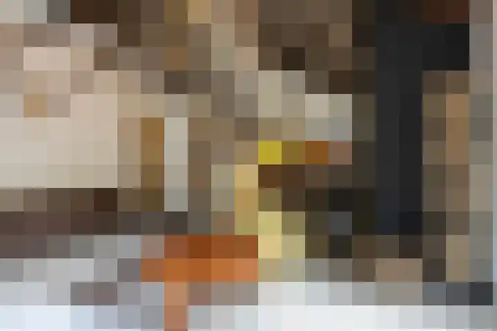 Parklaan 81 Putte thumbnail 10