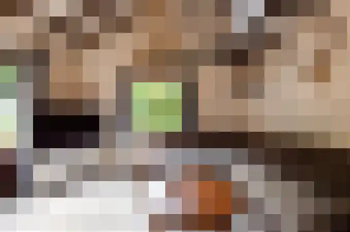 Parklaan 81 Putte thumbnail 11