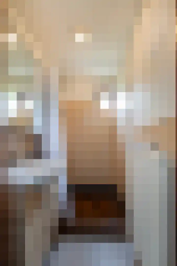 Parklaan 81 Putte thumbnail 13