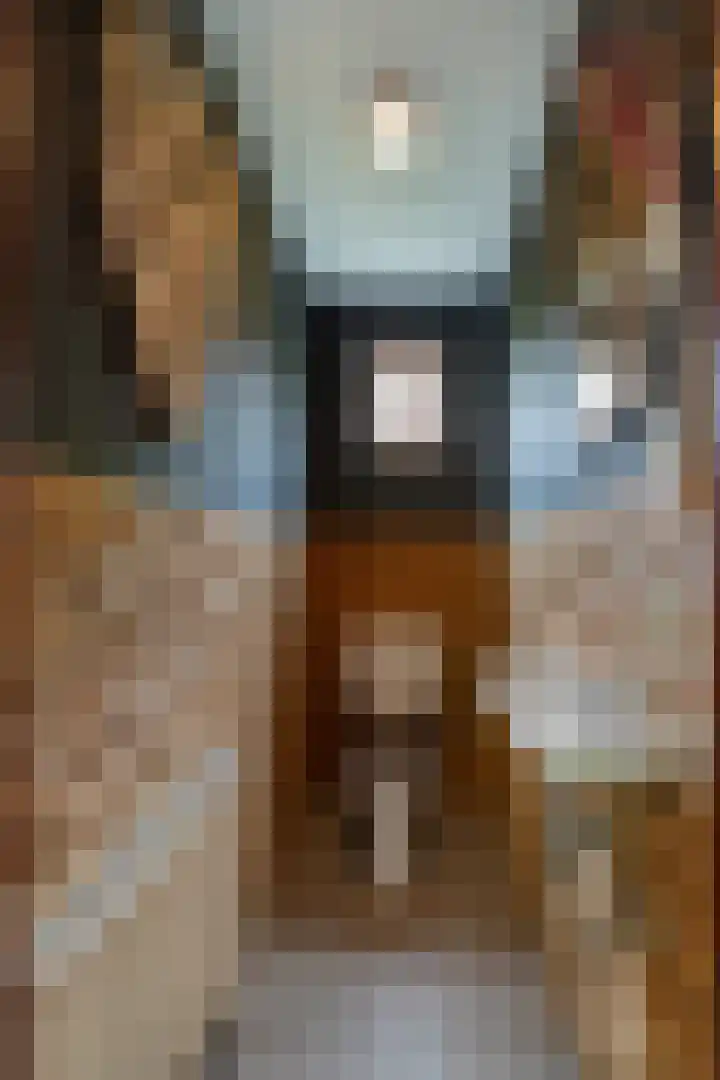 Parklaan 81 Putte thumbnail 15