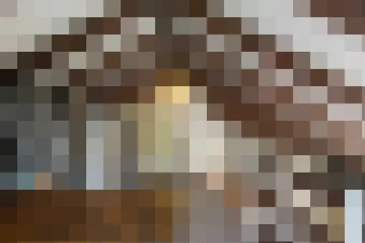 Parklaan 81 Putte thumbnail 19