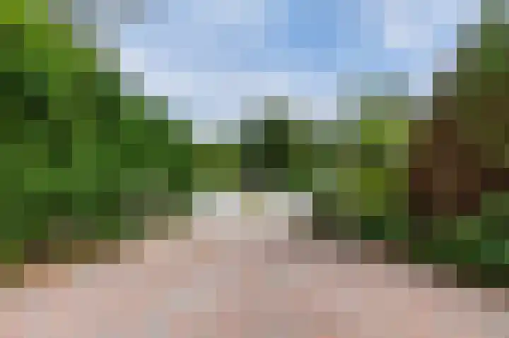 Parklaan 81 Putte thumbnail 22