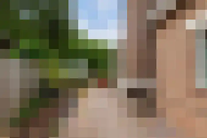 Parklaan 81 Putte thumbnail 23