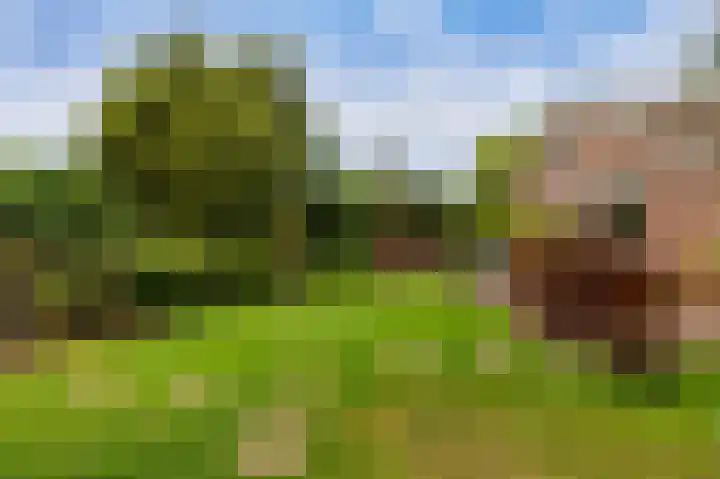 Parklaan 81 Putte thumbnail 26