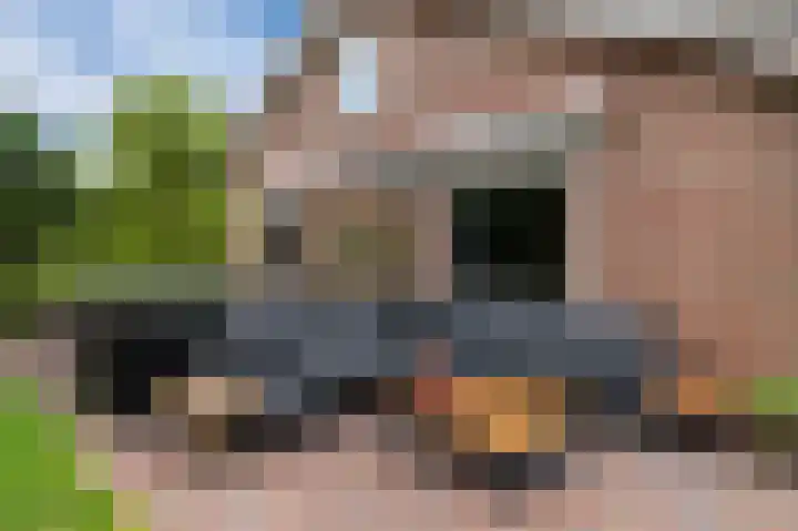 Parklaan 81 Putte thumbnail 29