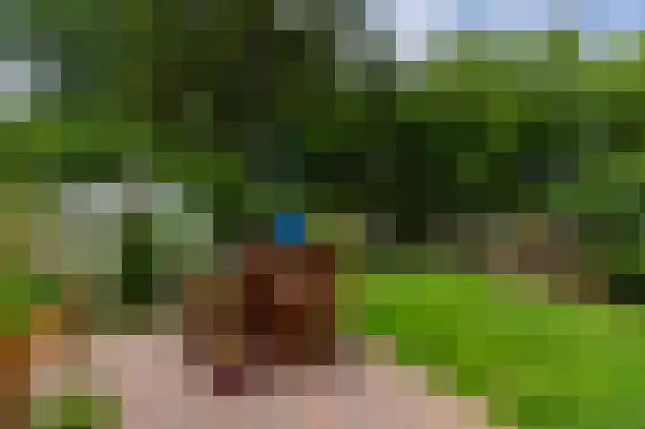 Parklaan 81 Putte thumbnail 30