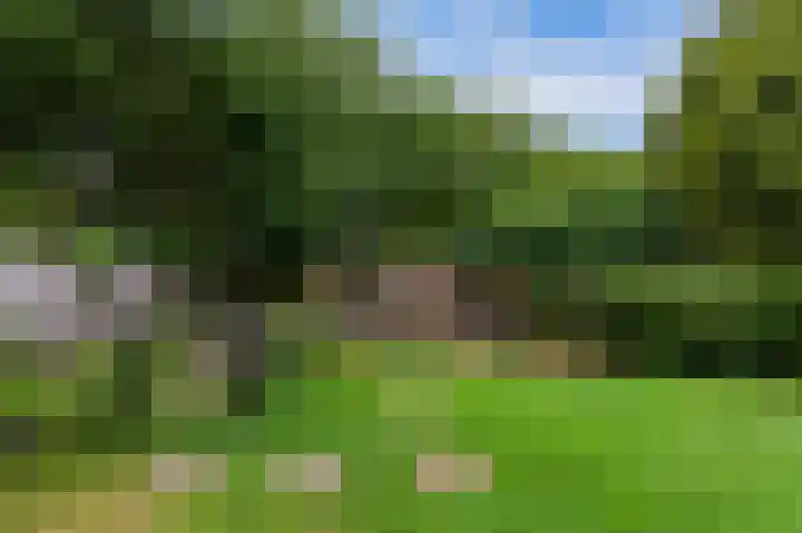 Parklaan 81 Putte thumbnail 31
