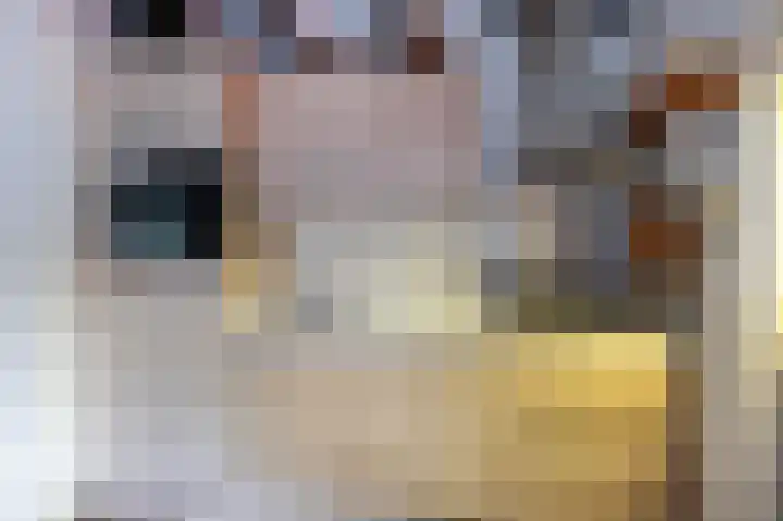 Parklaan 81 Putte thumbnail 6