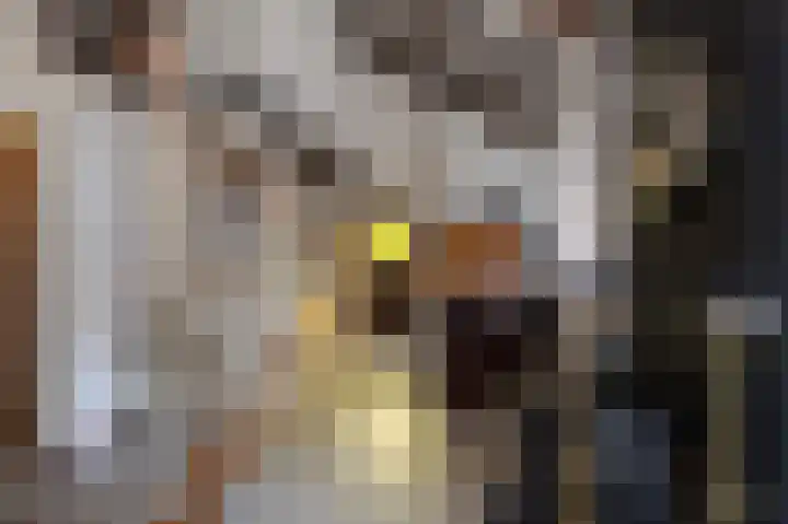 Parklaan 81 Putte thumbnail 8
