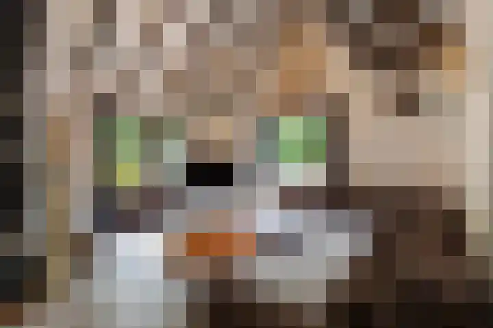 Parklaan 81 Putte thumbnail 9