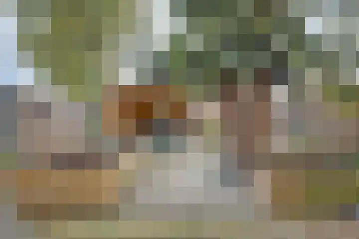 Parklaan 85 Spijkenisse thumbnail 11