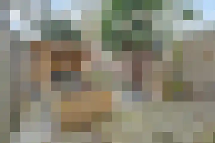 Parklaan 85 Spijkenisse thumbnail 12