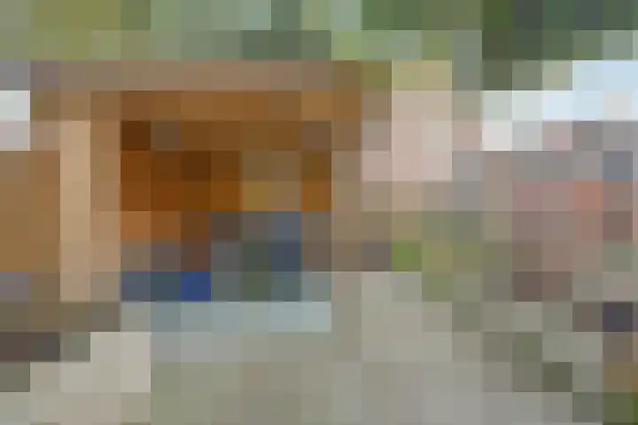 Parklaan 85 Spijkenisse thumbnail 13