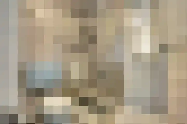 Parklaan 85 Spijkenisse thumbnail 17