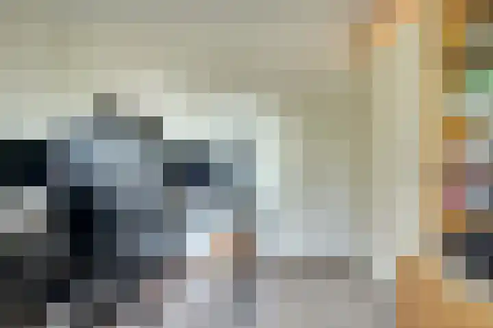 Parklaan 85 Spijkenisse thumbnail 20