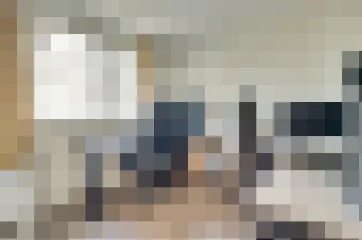 Parklaan 85 Spijkenisse thumbnail 21