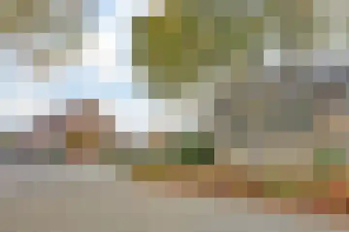 Parklaan 85 Spijkenisse thumbnail 29