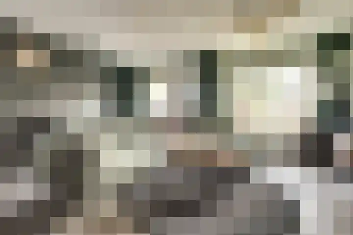 Parklaan 85 Spijkenisse thumbnail 5