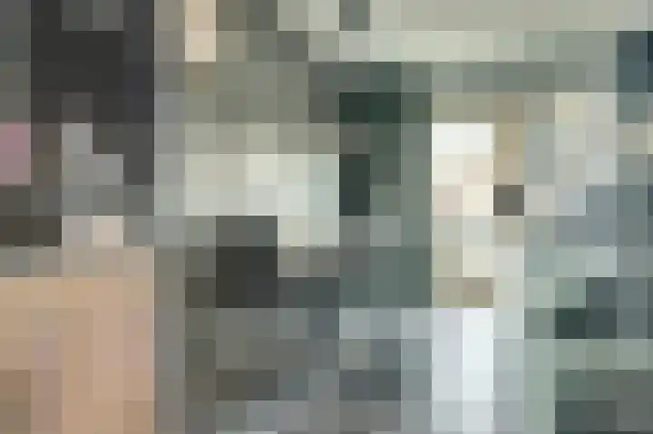 Parklaan 85 Spijkenisse thumbnail 7