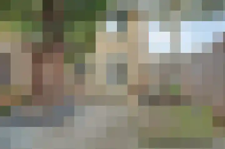 Parklaan 85 Spijkenisse thumbnail 8