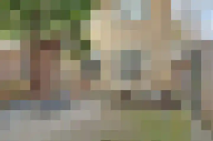 Parklaan 85 Spijkenisse thumbnail 9