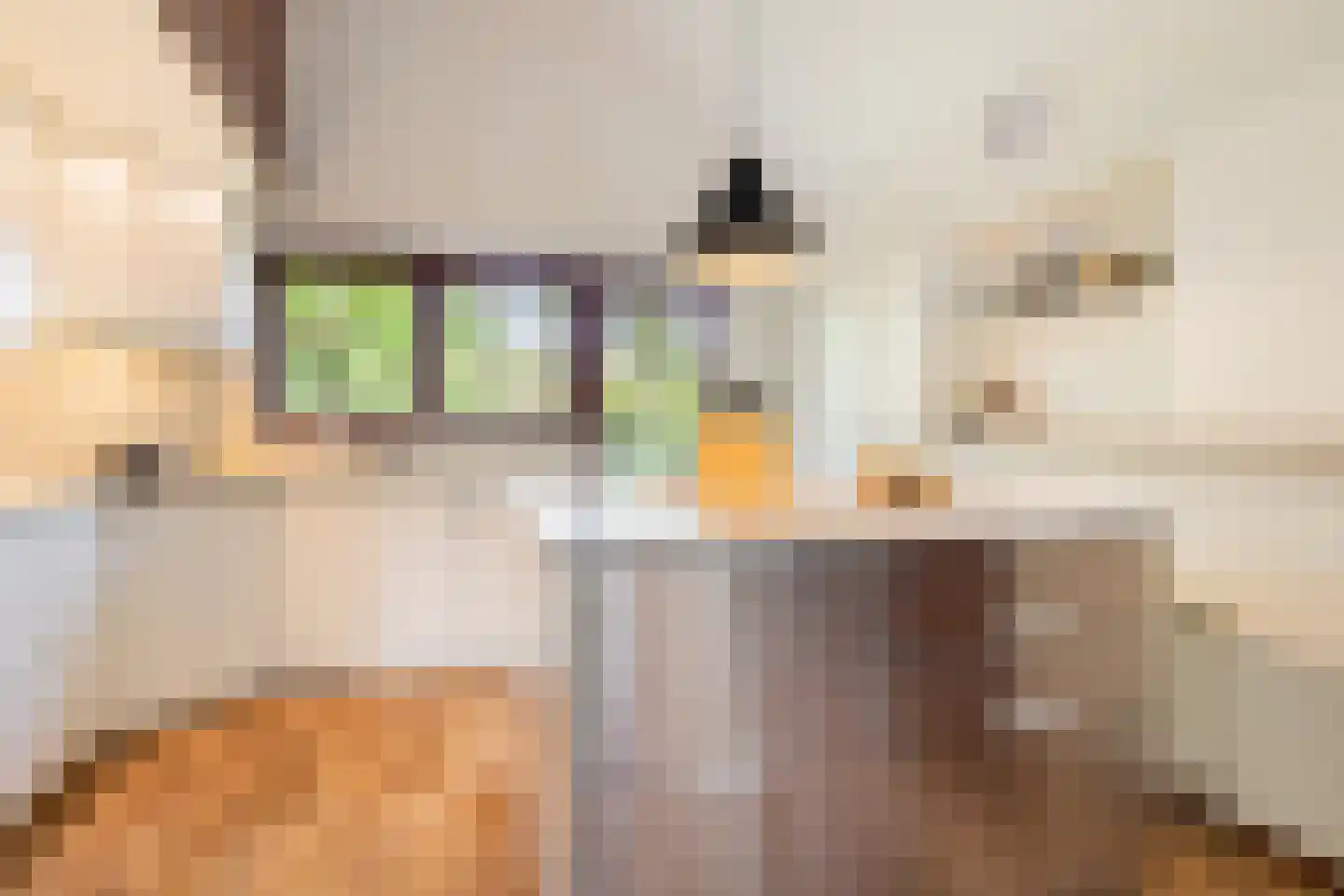 Parklaan 89 Putte thumbnail 11