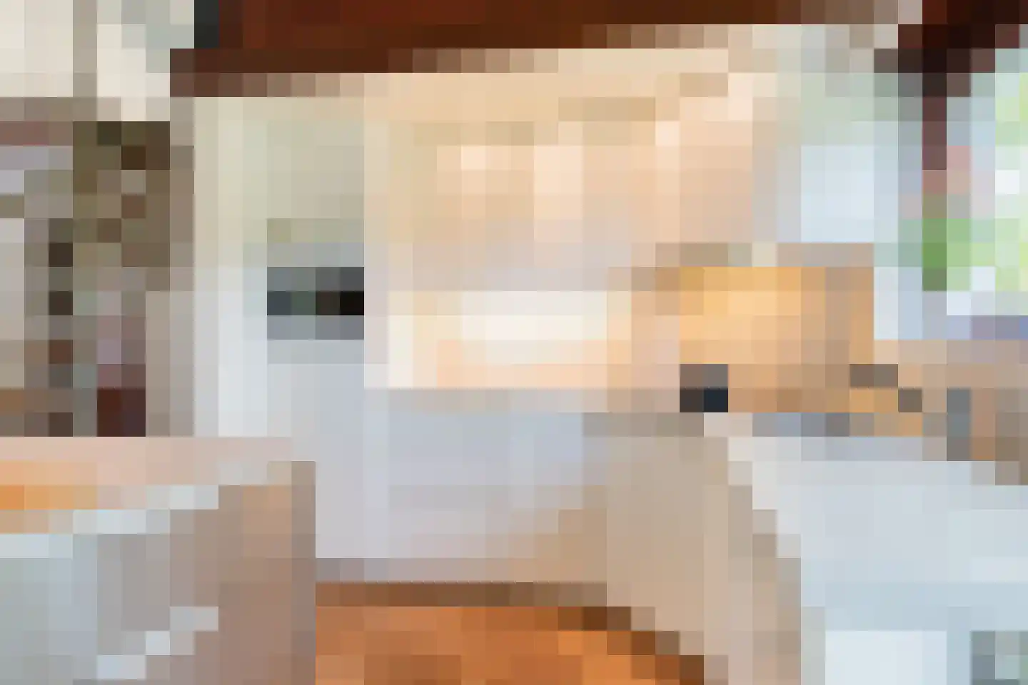 Parklaan 89 Putte thumbnail 12