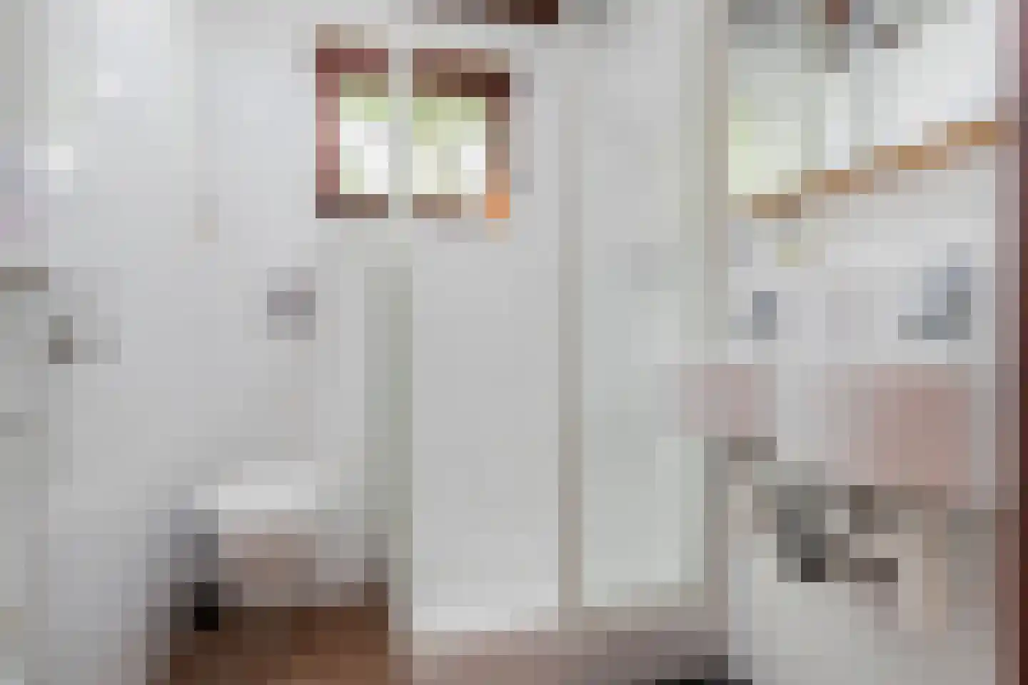 Parklaan 89 Putte thumbnail 23